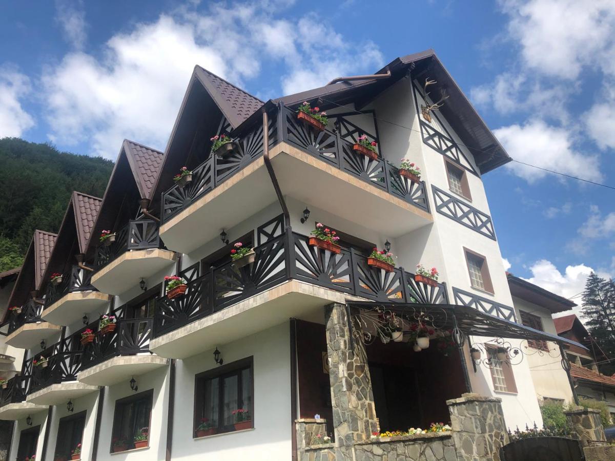 Casa Albert Sinaia Exterior foto