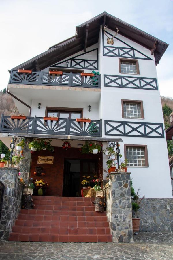 Casa Albert Sinaia Exterior foto
